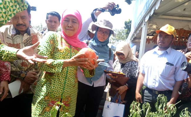 Gubernur Jatim Hj.Khofifah Indar Parawansa saat mengunjungi stan pertanian agro. (Foto : aji saka)