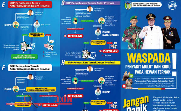 Permudah Peternak Sapi, Bupati Kediri Perketat Lalu Lintas Ternak dengan Screening dan SKKH