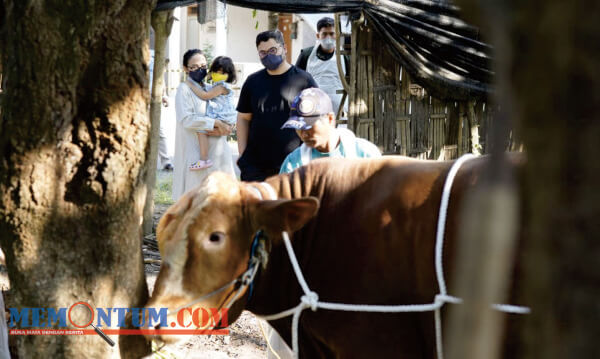 Ajak Buah Hati, Bupati Kediri bersama Istri Lihat Sapi Kurban