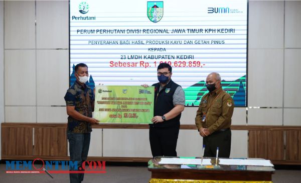 Manfaatkan Lahan Hutan di Kediri, Mas Dhito Bakal Kembangkan Agroforestry dan Pariwisata Terpadu